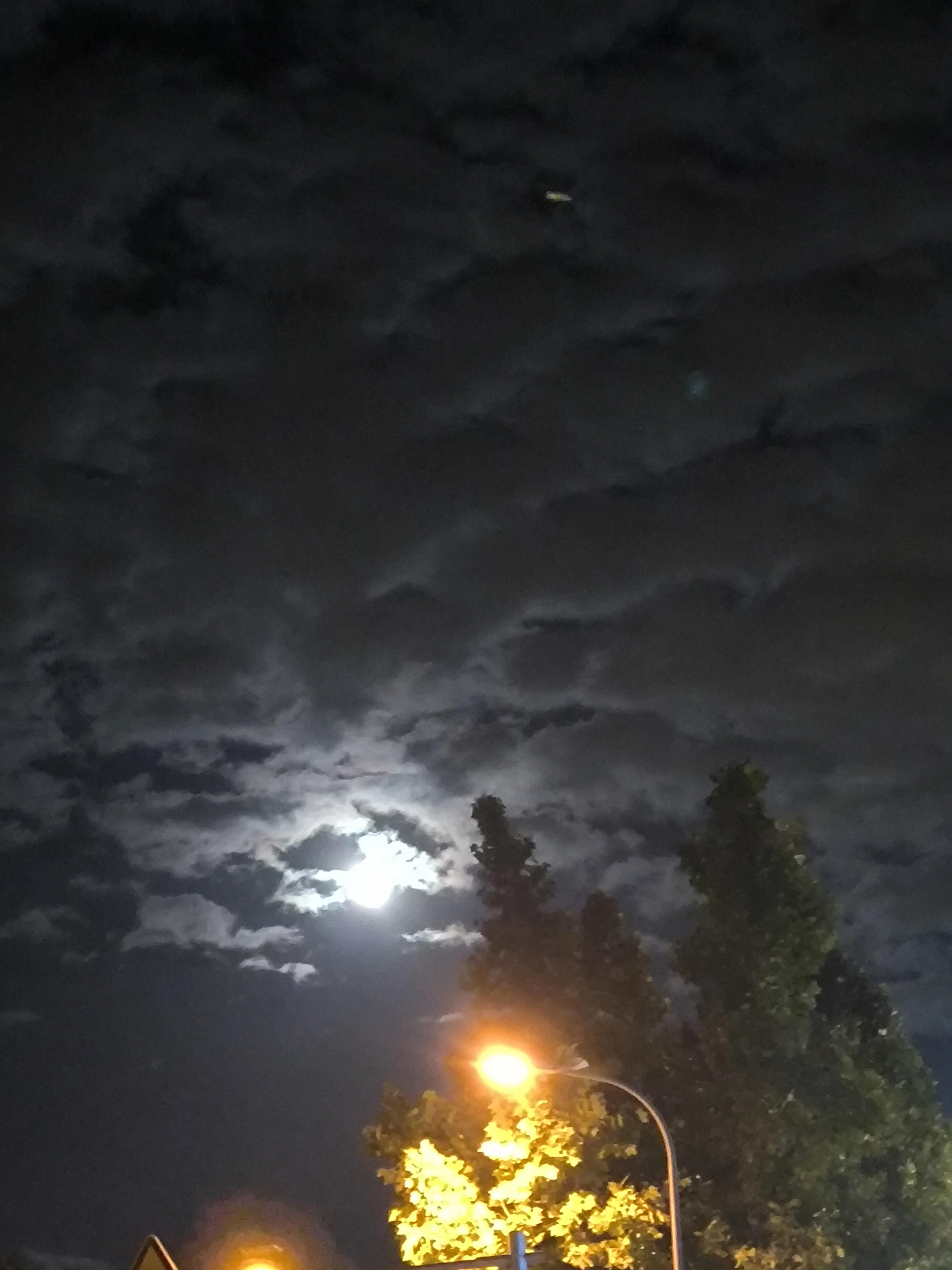 Beautiful Moonlight