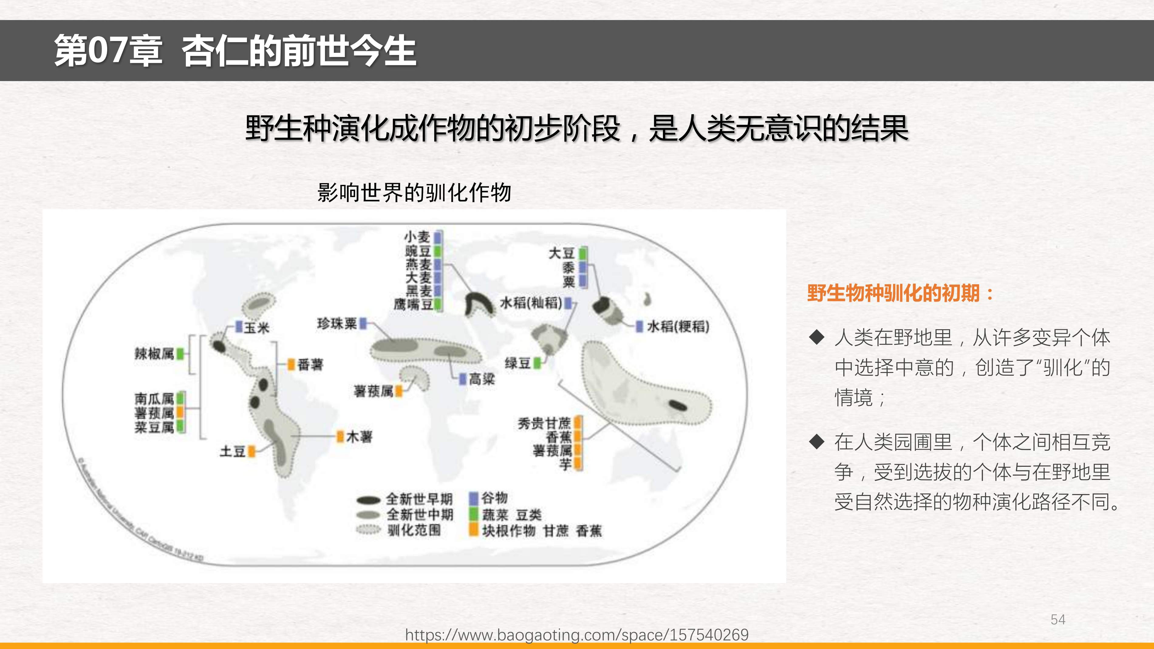 《枪炮、病菌、钢铁_20250109_111730_1