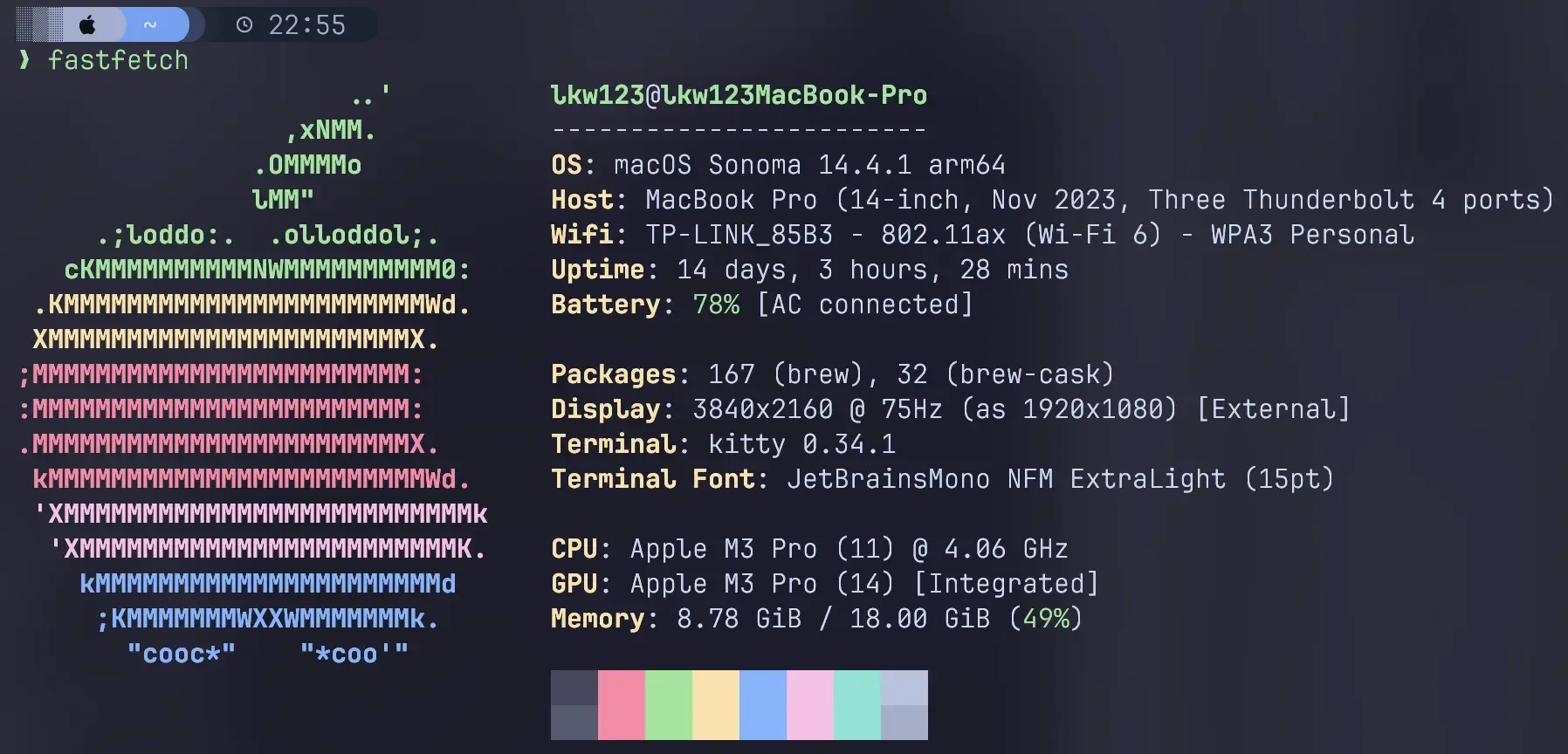 fastfetch-screenshot
