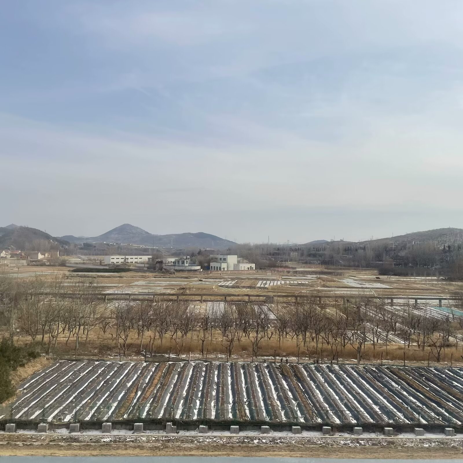 IMG_2091(20240315-013317)