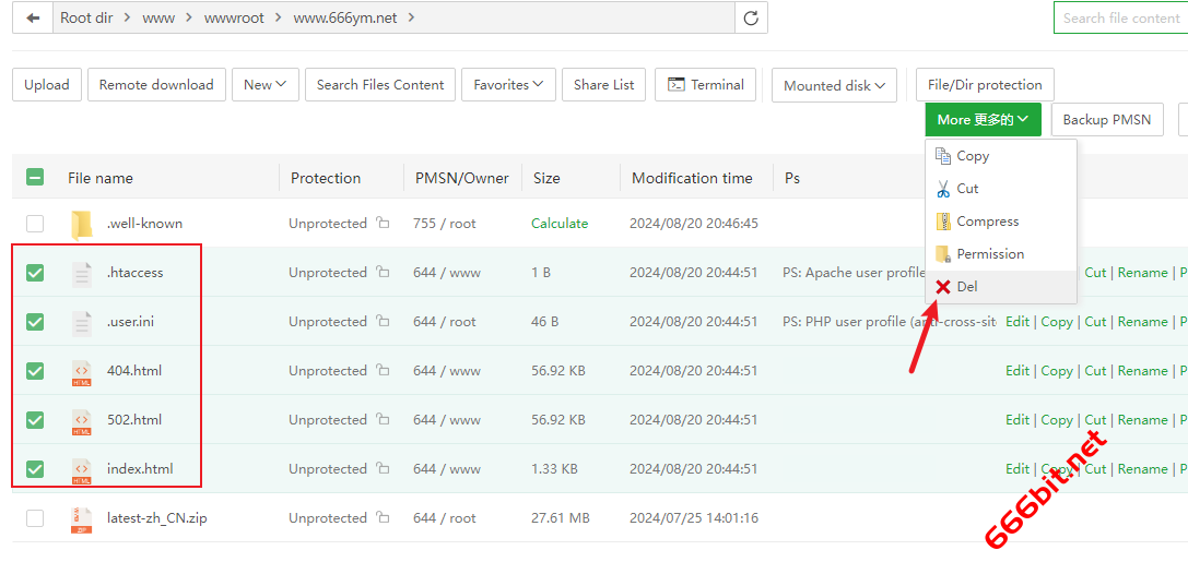 aapanel 删除文件