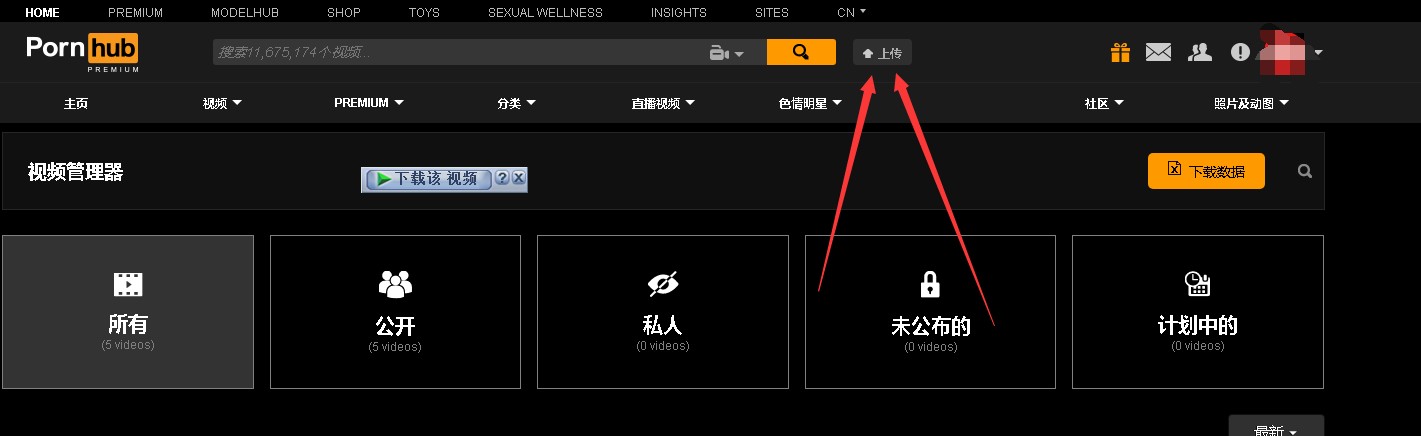 p站