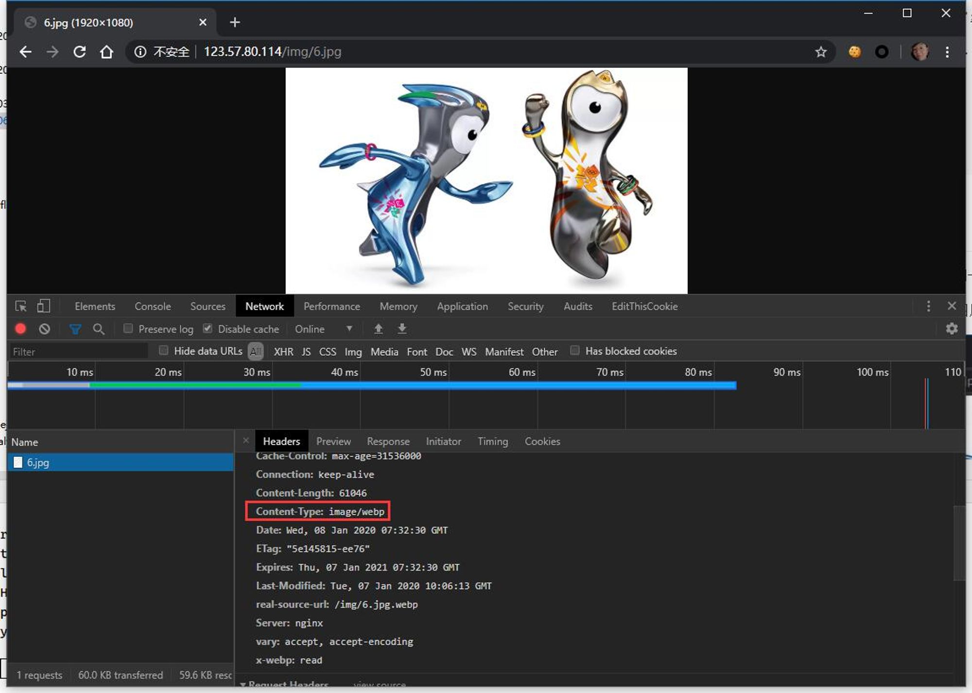 webp5