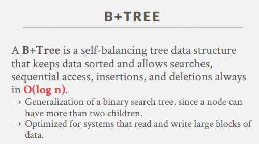 B+Tree_attribute