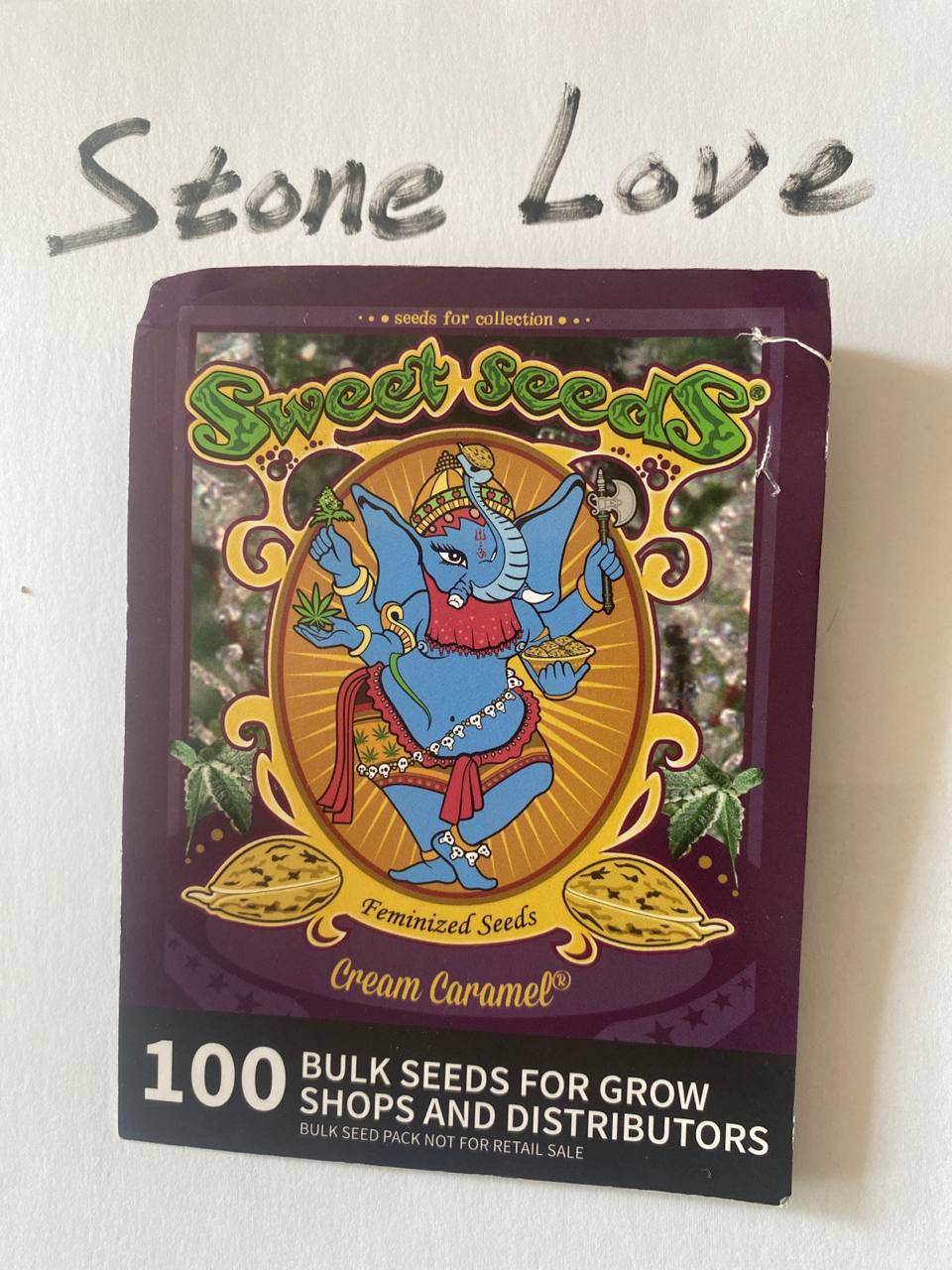 photo_2025-11-24_01-53-26