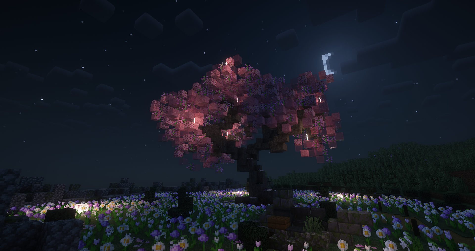 樱花树下夜景