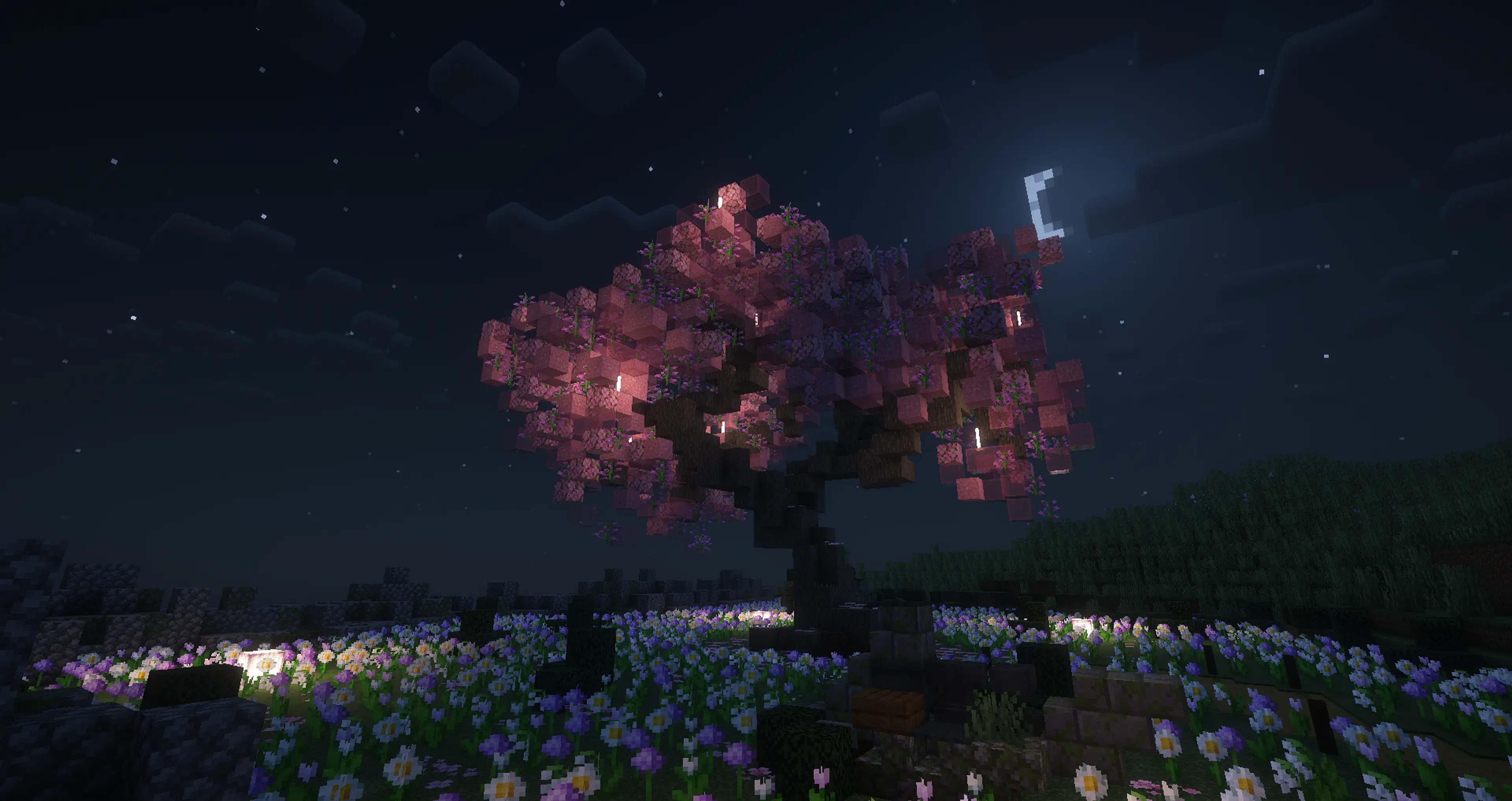 Night view under the cherry blossom tree