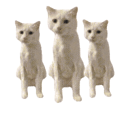 ded727cfa096c72ea323035b411615cd