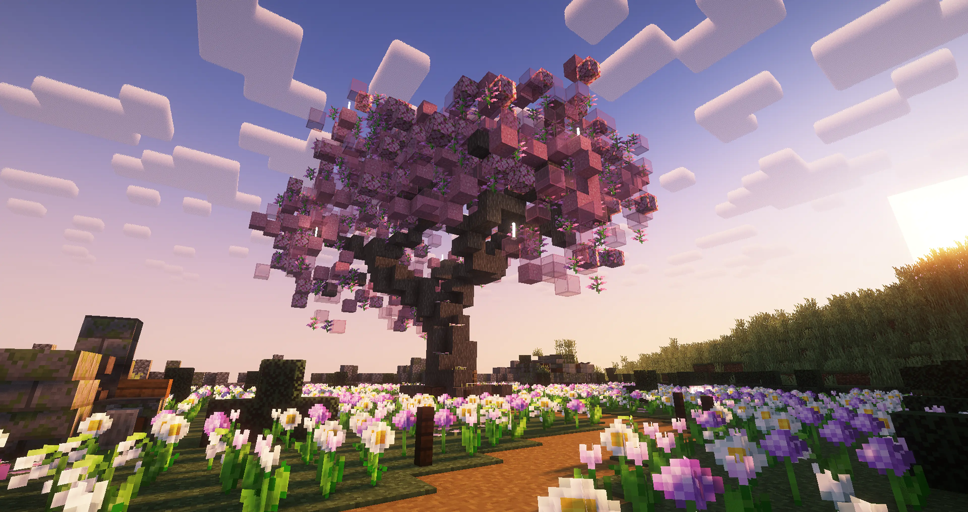 Under the cherry blossom tree