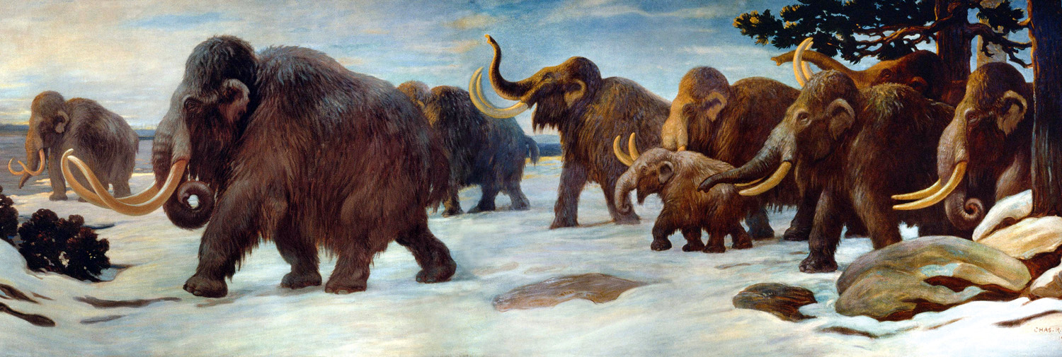 Wooly mammoths near the Somme River, AMNH mural.