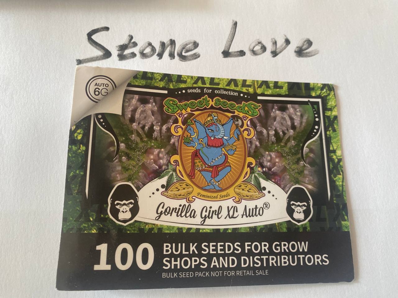 photo_2025-11-24_02-39-14