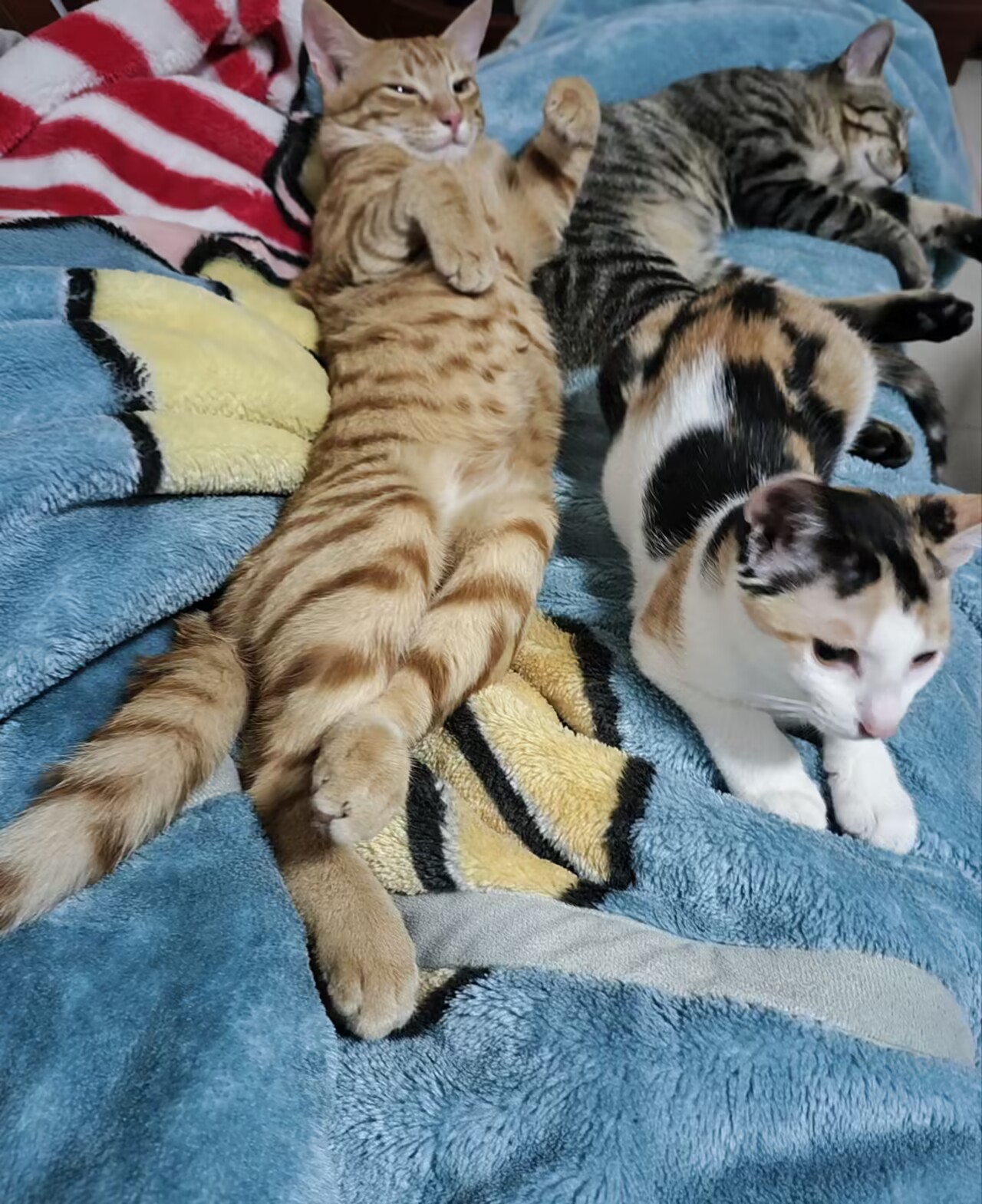 9eeb3fe8b8d381821c34f871aea632f9_720