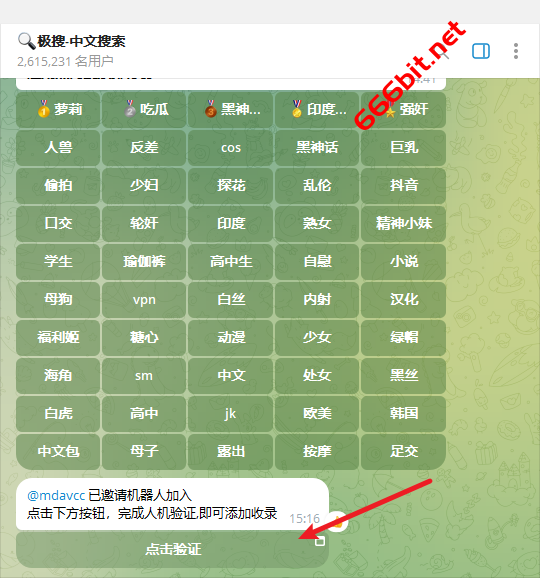 极搜验证