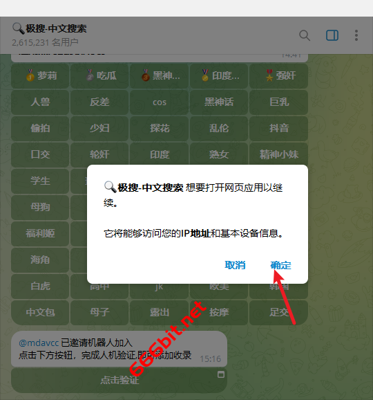 极搜验证2