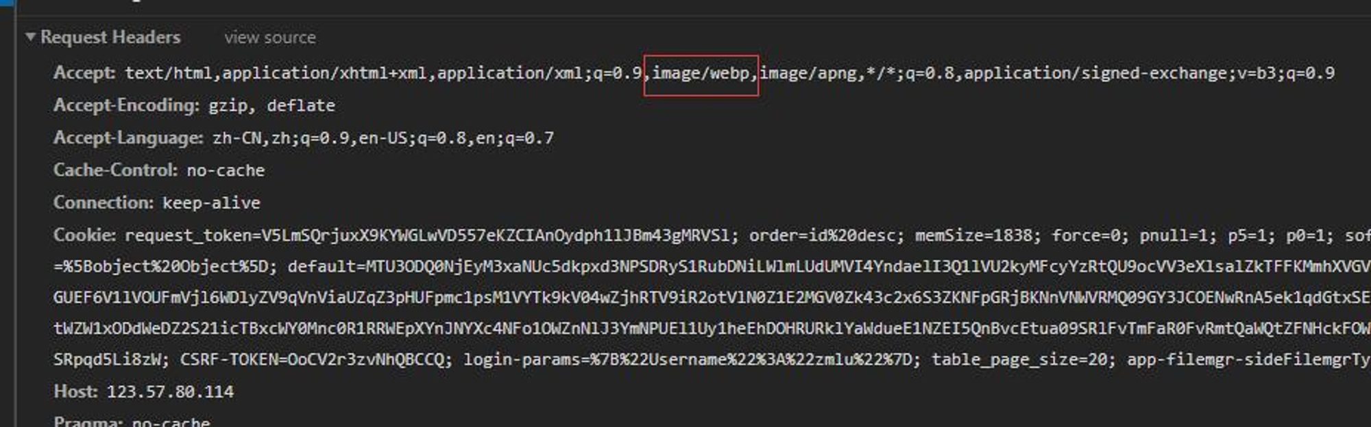 webp4