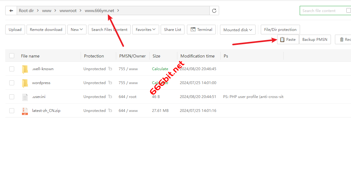 wordpress 粘贴文件