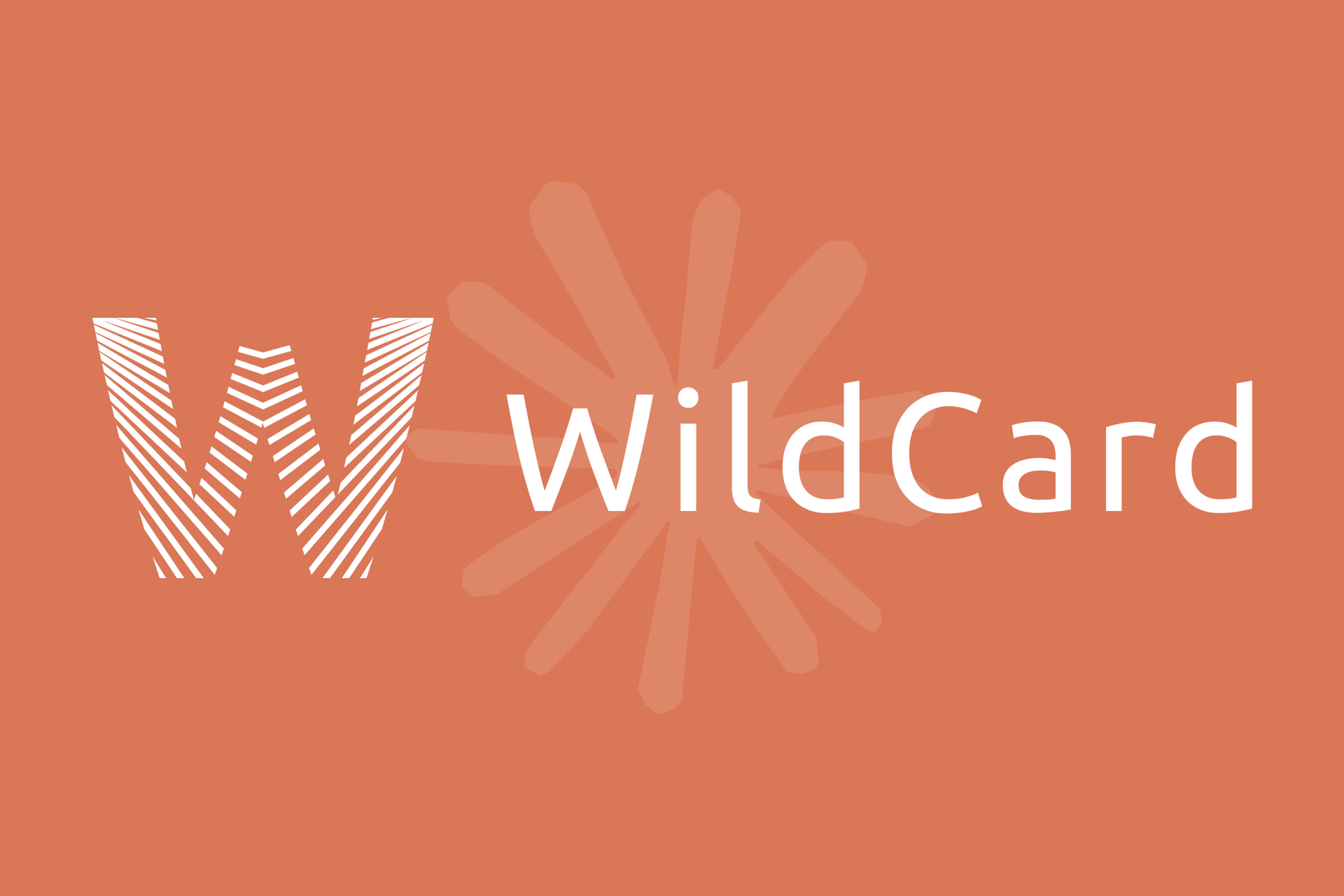 7ec23d48da38b8e489fc527dd495858c_WildCard