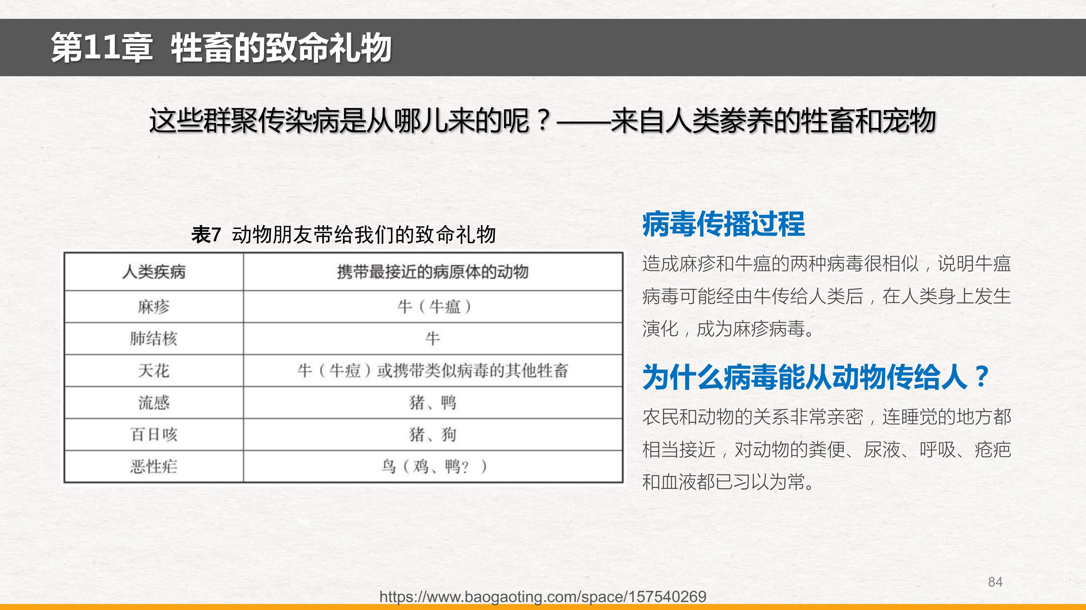 《枪炮、病菌、钢铁_20250109_112920_1