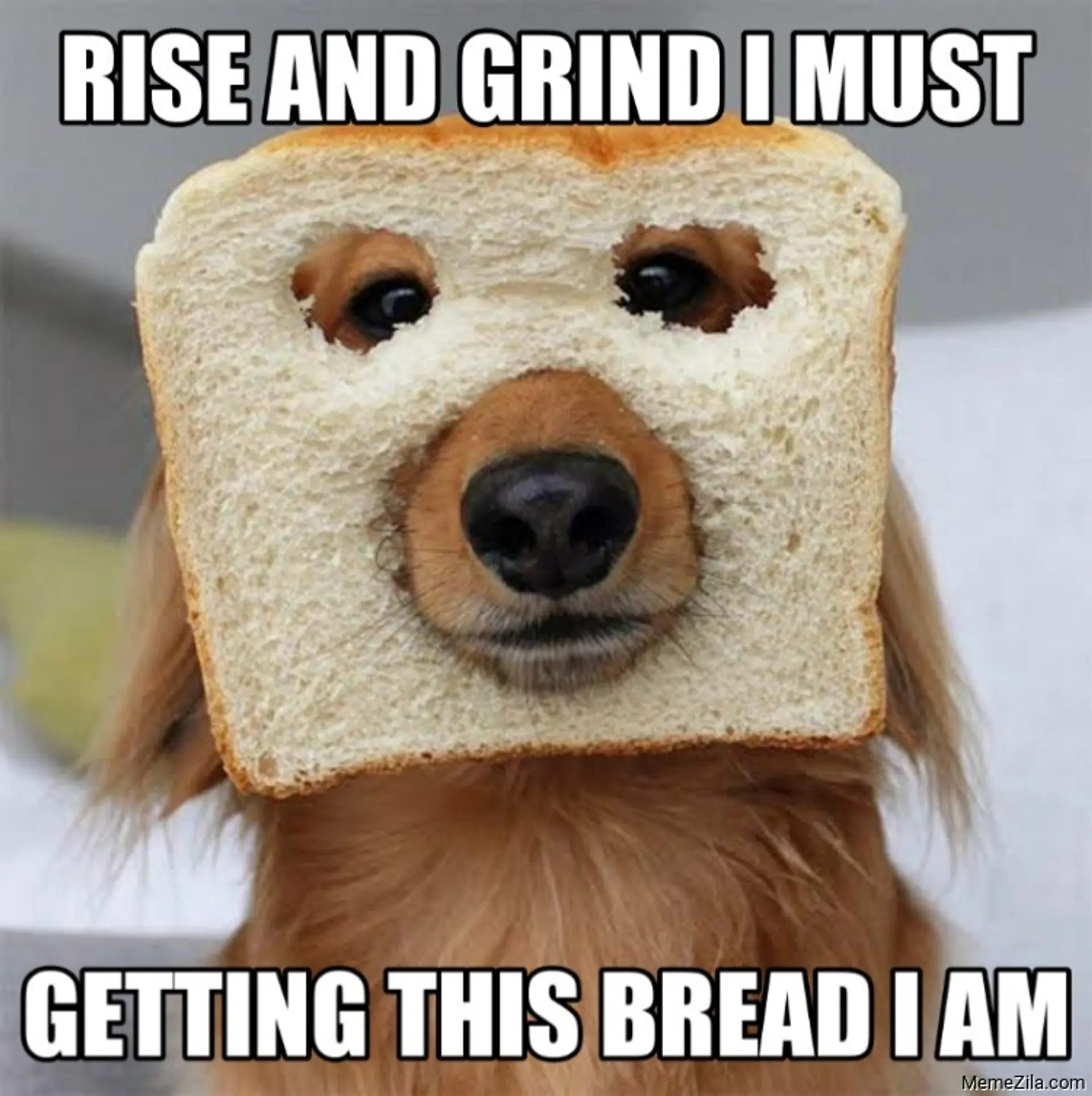 Rise-and-grind-I-must-Getting-this-bread-I-am-meme-8084