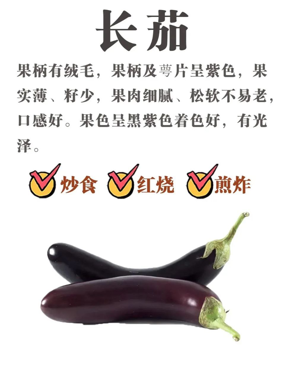 photo_8_2023-06-02_14-00-18