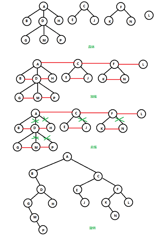 image-20230210204851230