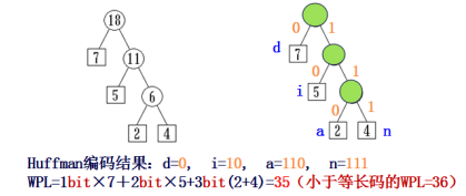 image-20230210165850804