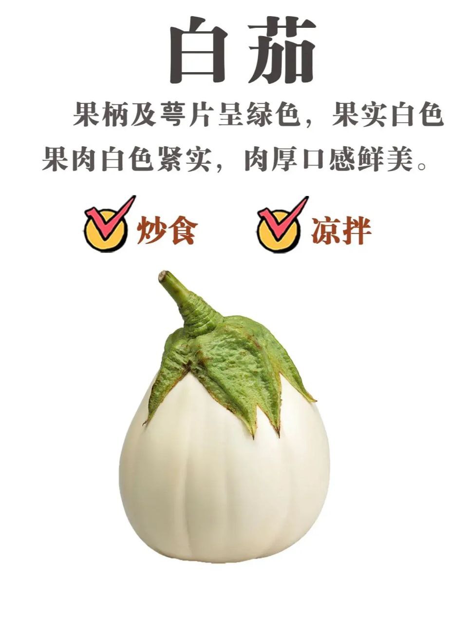 photo_4_2023-06-02_14-00-18