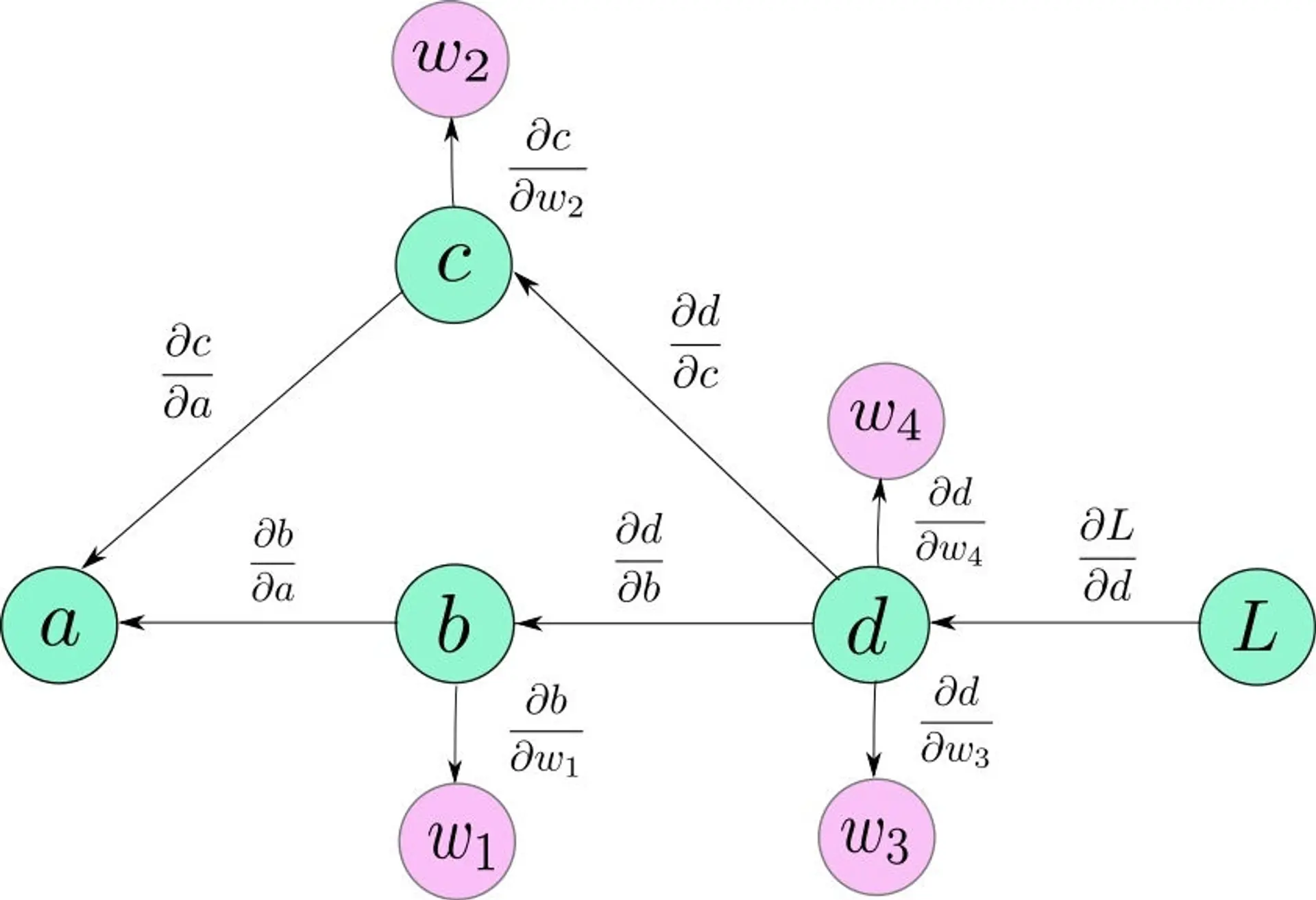 Automatic Differentiation Path