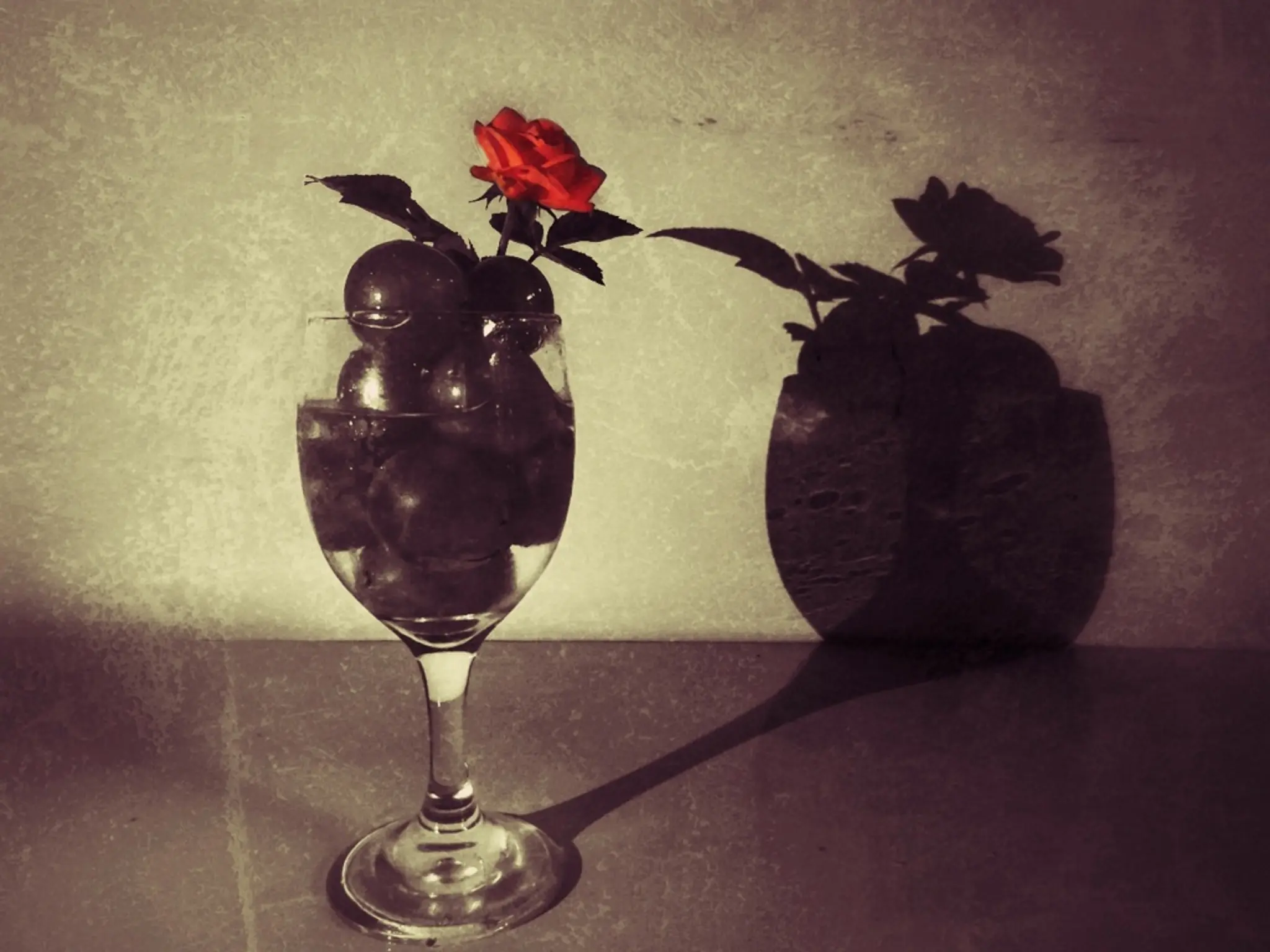 葡萄与玫瑰