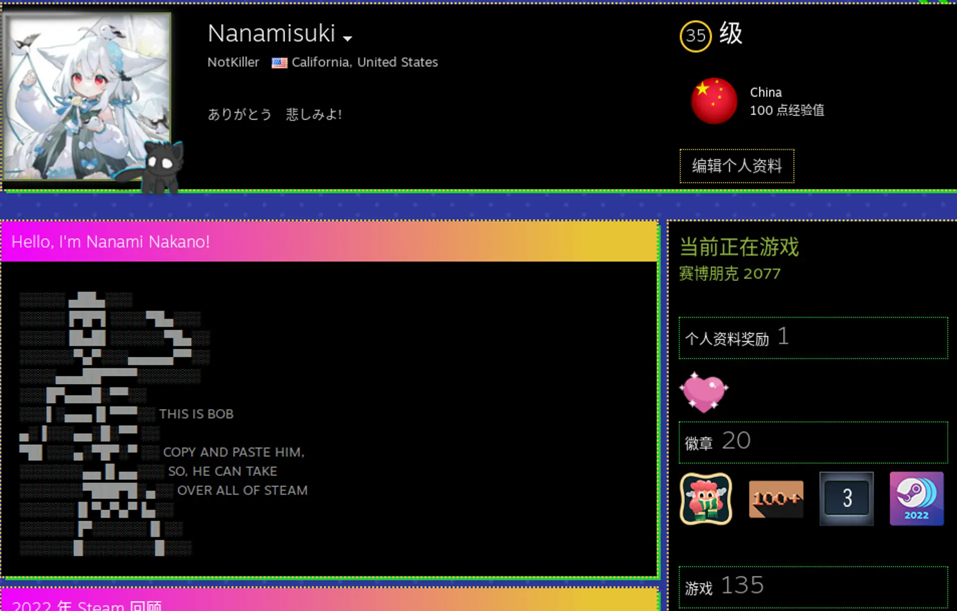 Nanami's Steam Profile