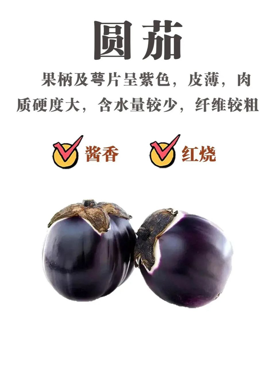 photo_2_2023-06-02_14-00-18