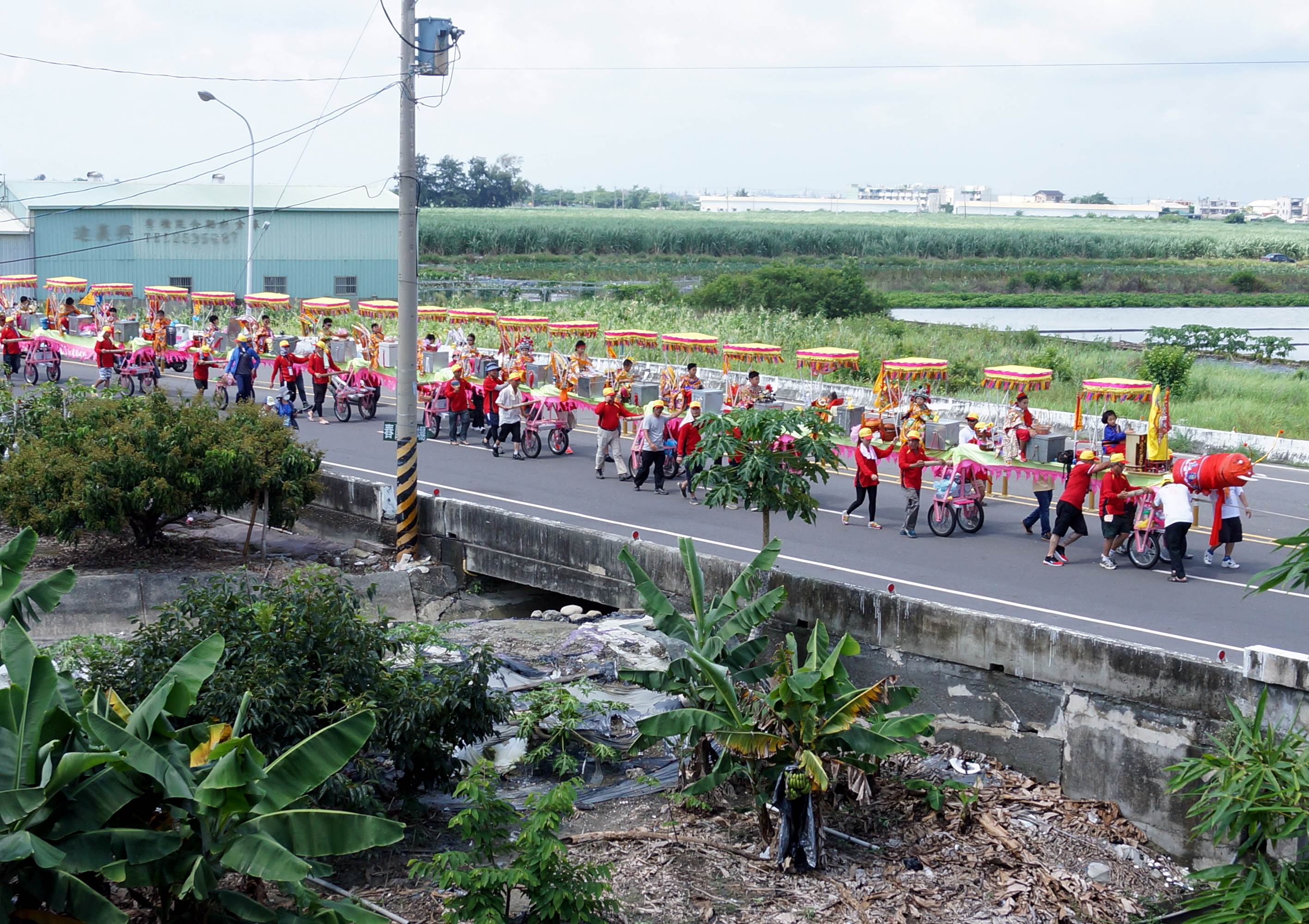 乙未香科，我第一次追蜈蚣。