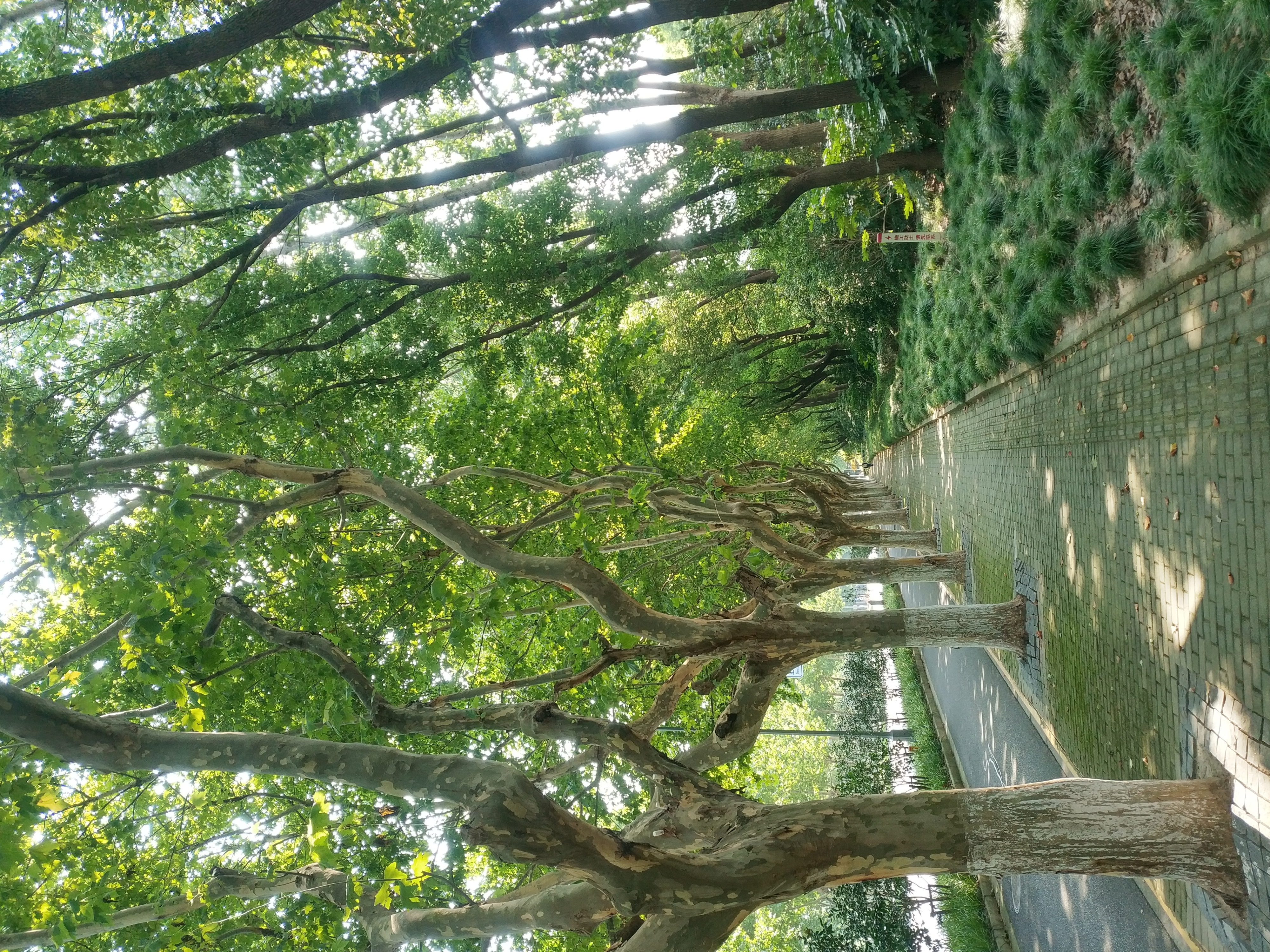 路上