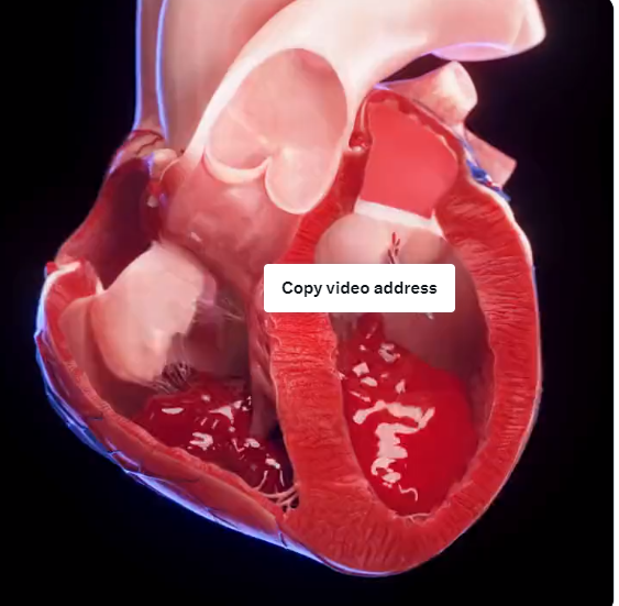 スクリーンショット_5