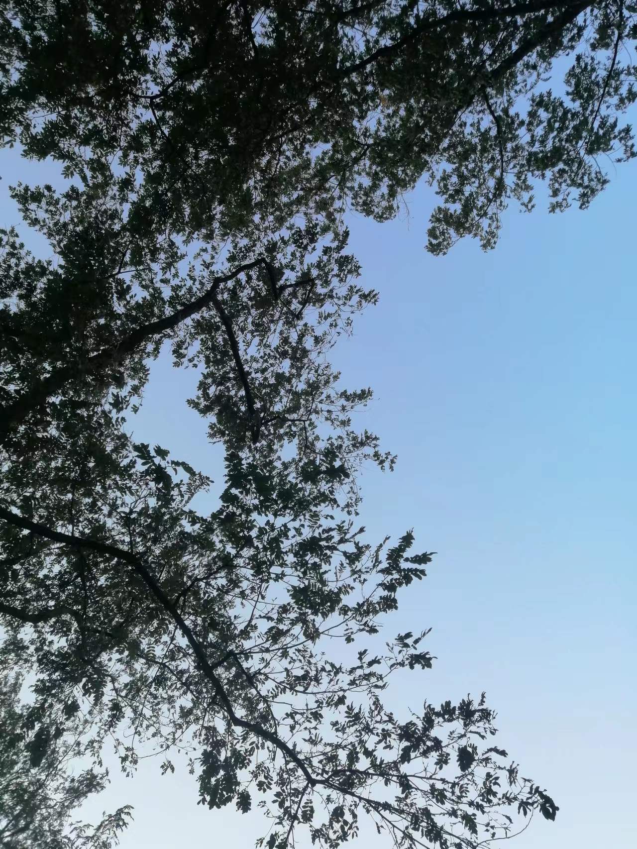 6471b01d9c97692a6c82957c91f0385