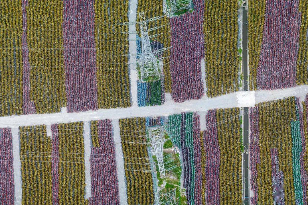 0c91c715c41d4e89bc923f7120013a38