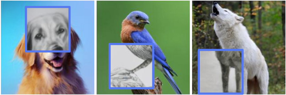 Snipaste_2023-06-19_09-17-37