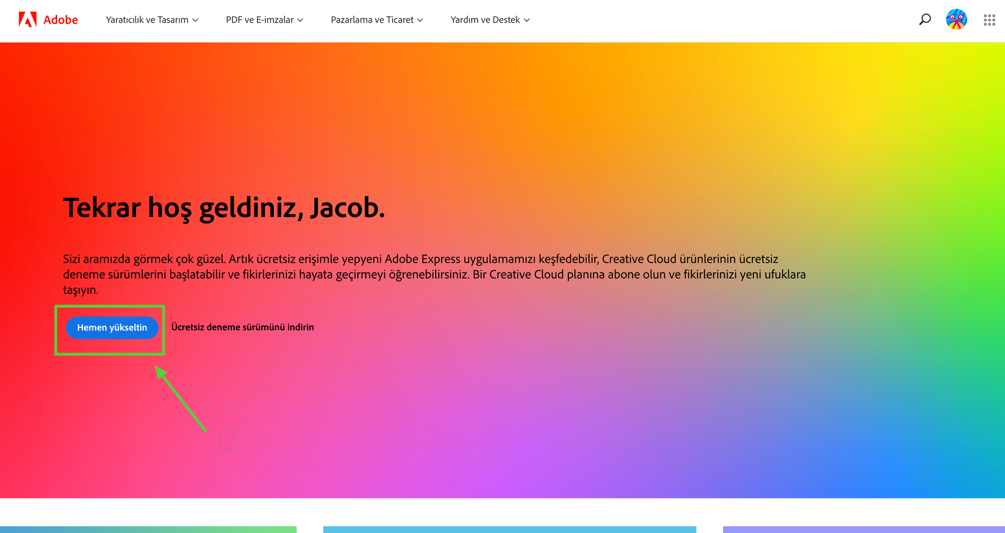 adobe3