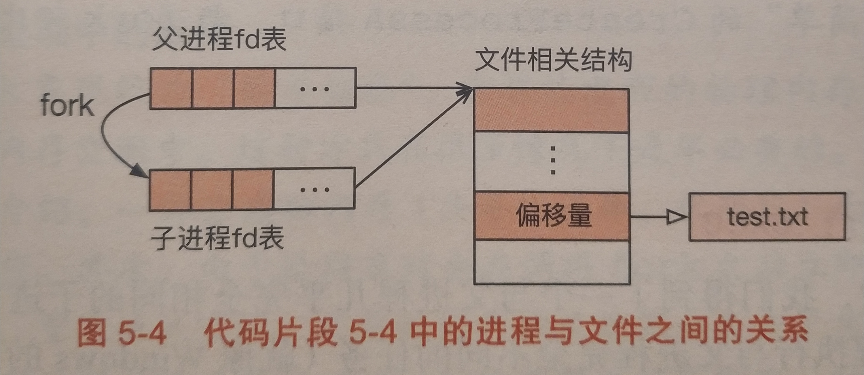 子进程复制父进程数据