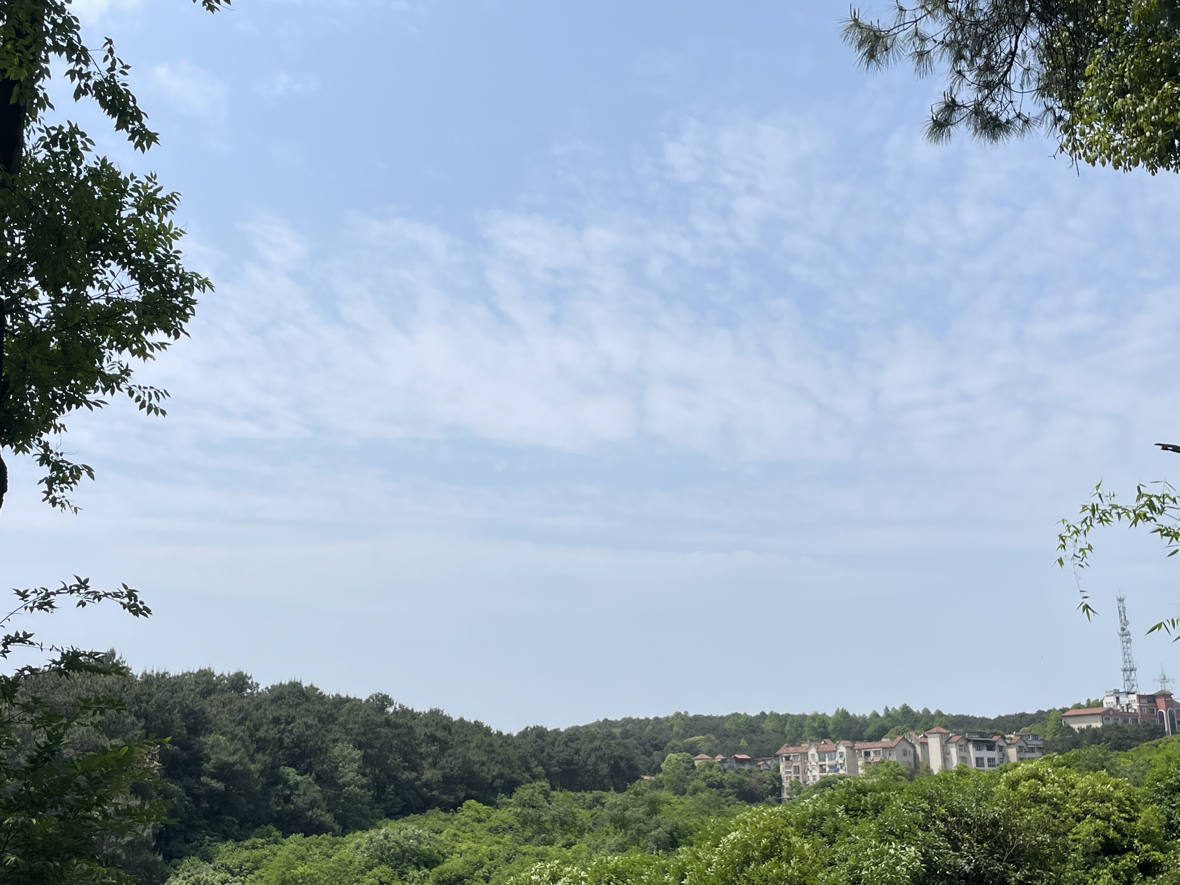 2081683157720_.pic_hd